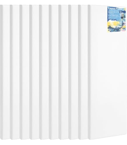 Amazon | ペベオ(Pebeo) 側面にも描ける 3D張りキャンバス コットン